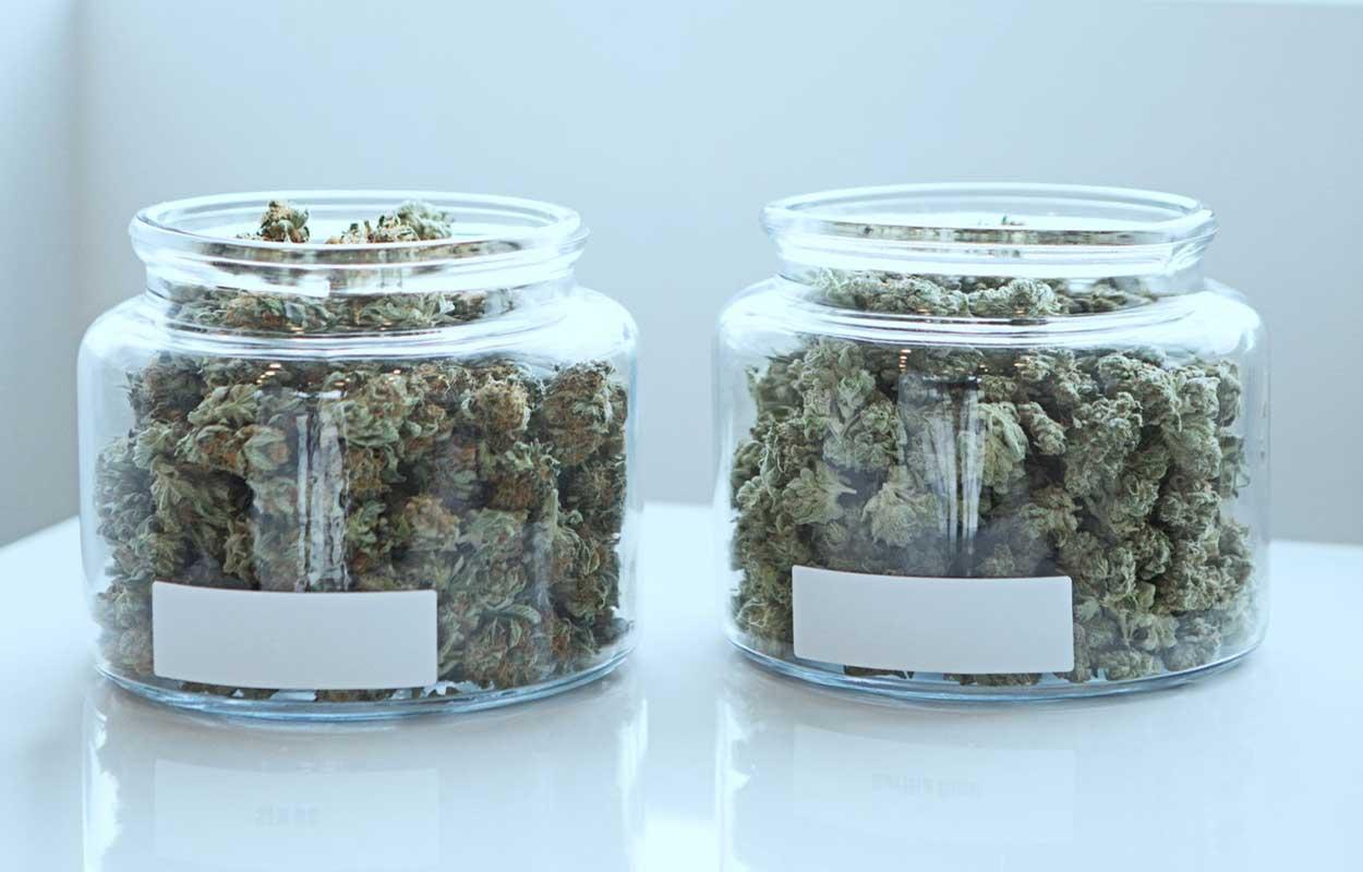 How Medical Marijuana Can Help PTSD