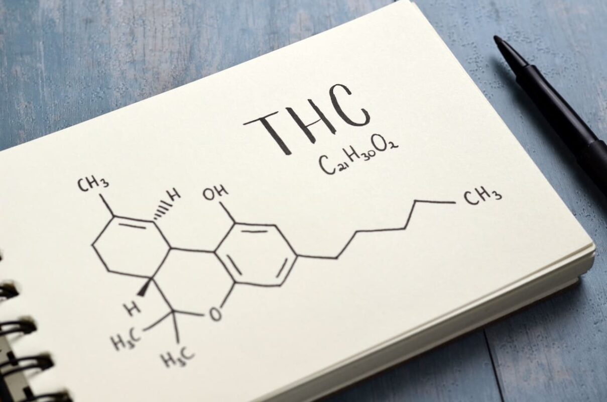 THC Notebook