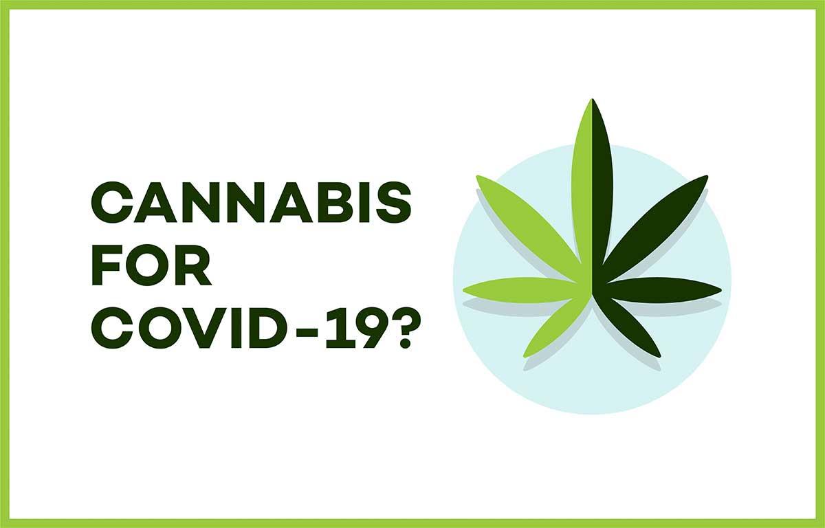 Can Medical Marijuana Help COVID Symptoms?