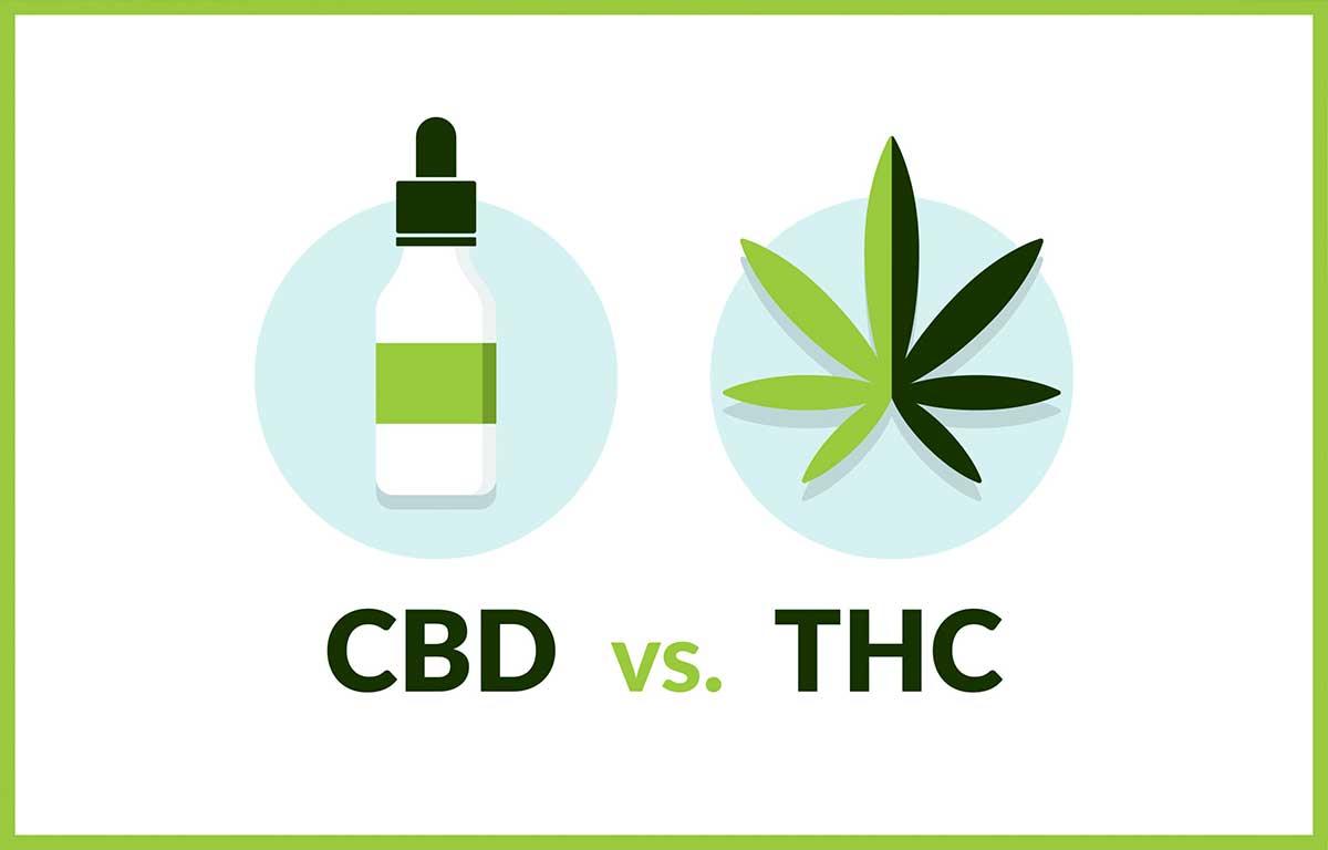 CBD vs THC whats good for what