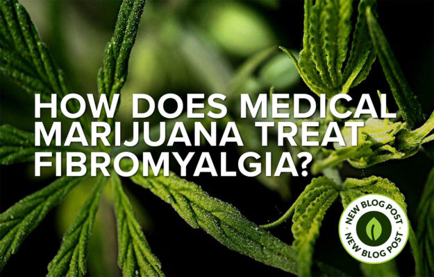 does medical marijuana treat fibromyalgia