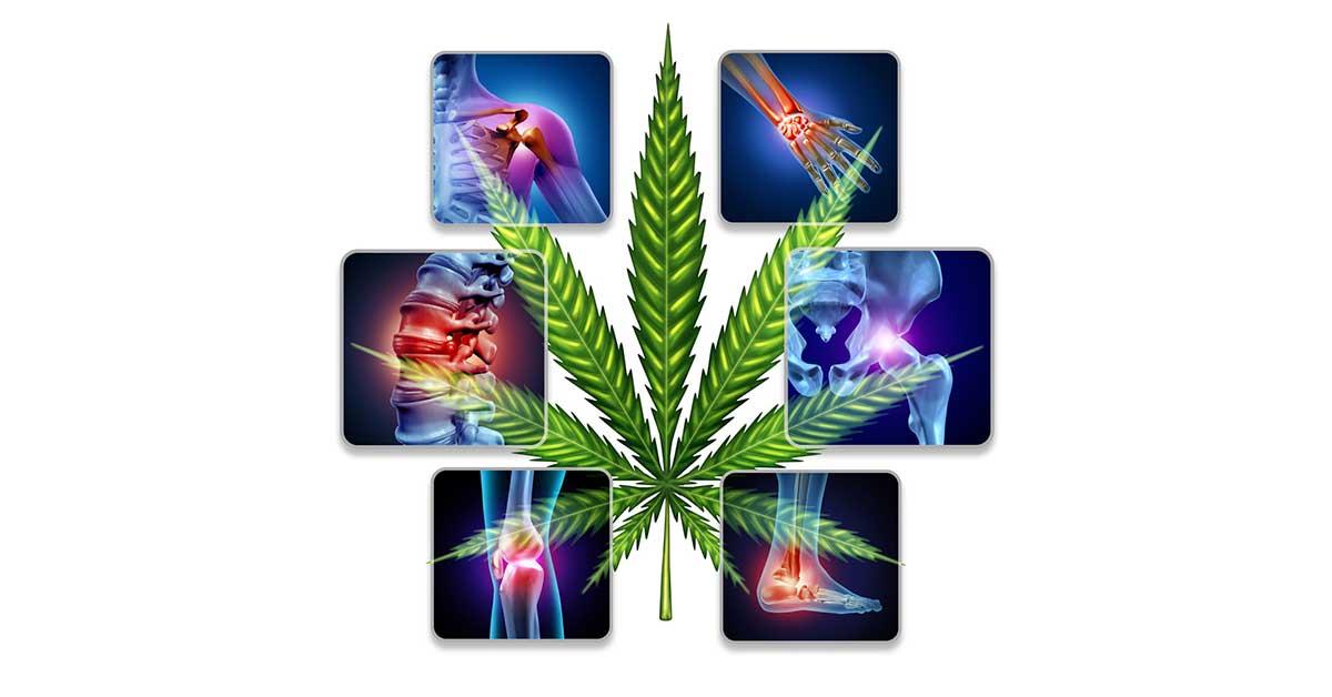 Pain Management And Ohio Medical Marijuana