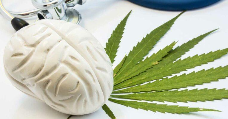 Winter is Coming - Are You Ready?